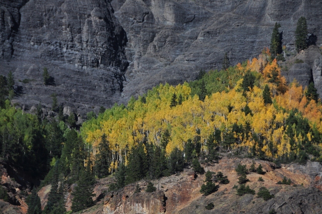 jeep tour to Brown Mountain